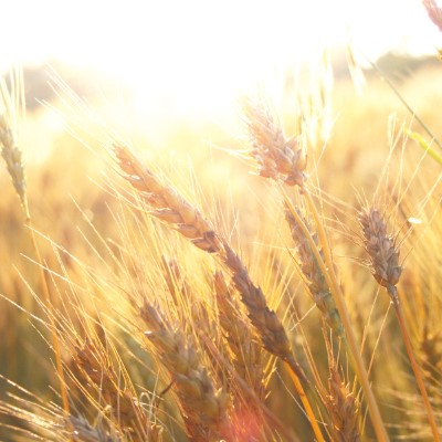 1920 x 1080 HD Wallpapers 1717